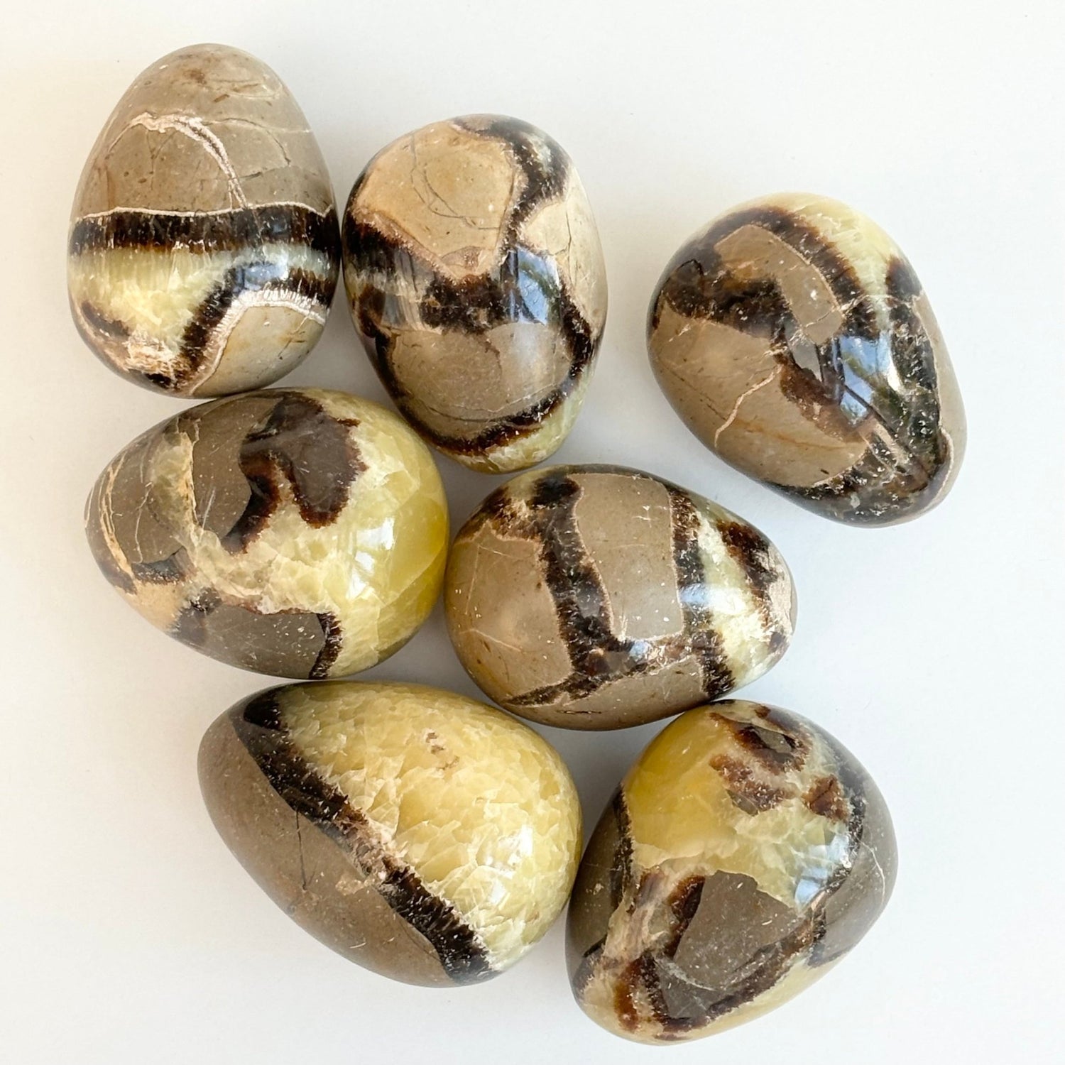 Wholesale Septarian Crystals - UK Wholesale Crystals