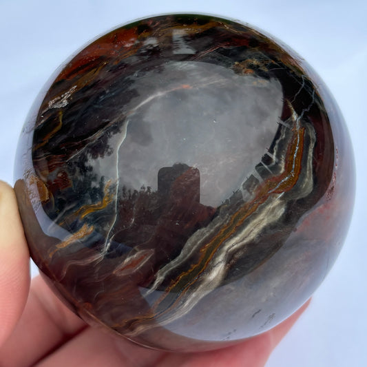 Petrified Wood Sphere #2 from UK Wholesale Crystals