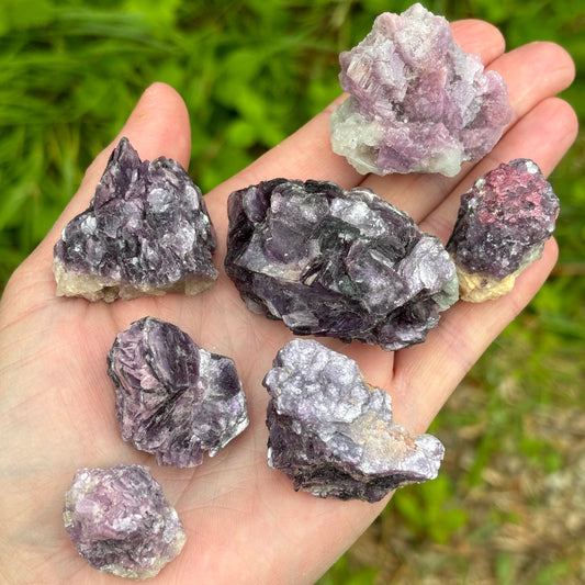 Lepidolite Raw Chunks Bundle 208g 7 Pieces from UK Wholesale Crystals